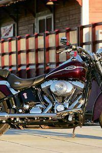 2005 best sale harley springer