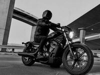 Hd sportster nightster clearance