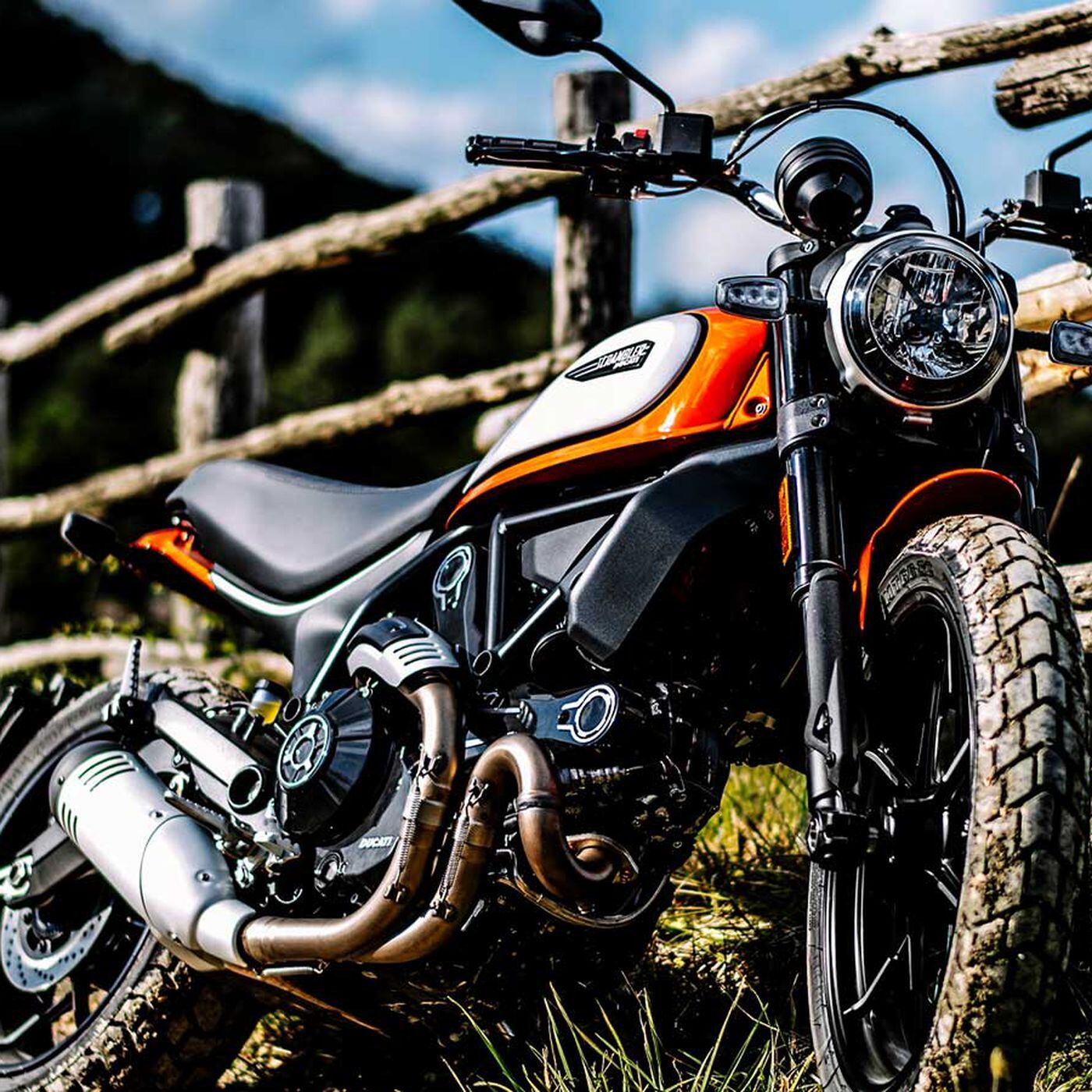 Ducati Releases 19 Scrambler 800 Icon Motorcycle Cruiser Ducati Releases 19 Scrambler 800 Icon Motorcycle Cruiser