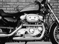 883 cc to cubic inches