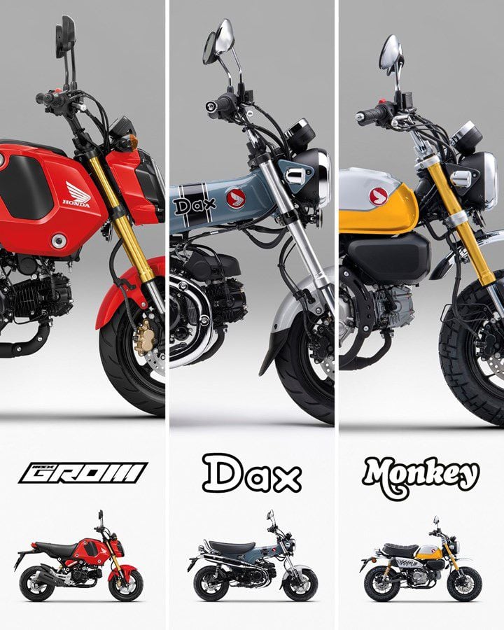 A new Honda Dax for 2022? (video!) - DreamParts Store