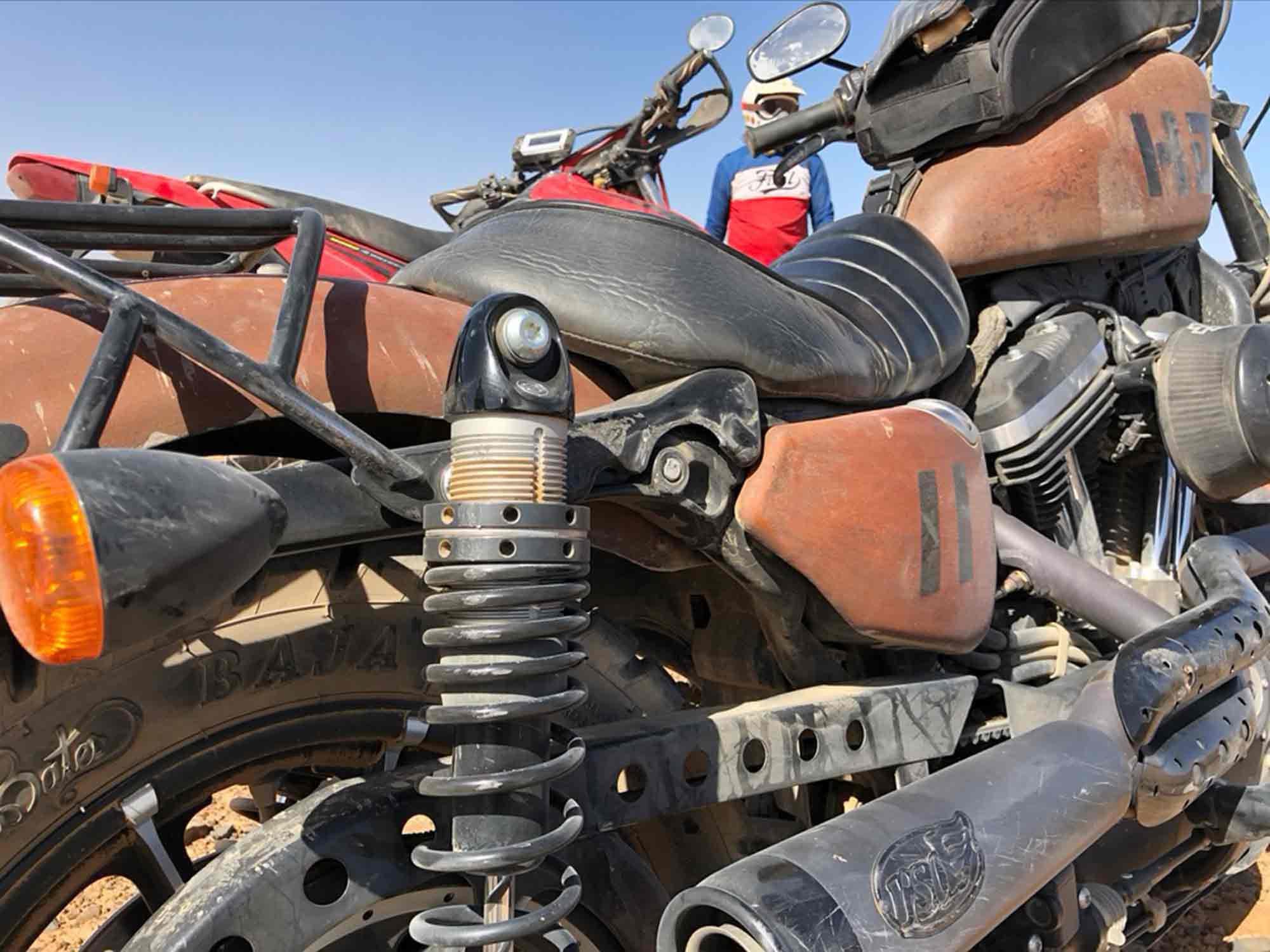 This well-used Sportster would definitely not qualify. Way to go, Morgan!