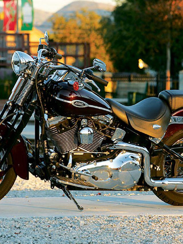 2005 springer softail deals