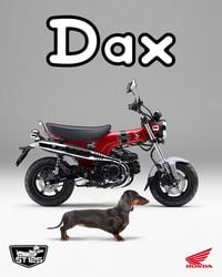 2022 Honda Dax First Look | Motorcycle Cruiser