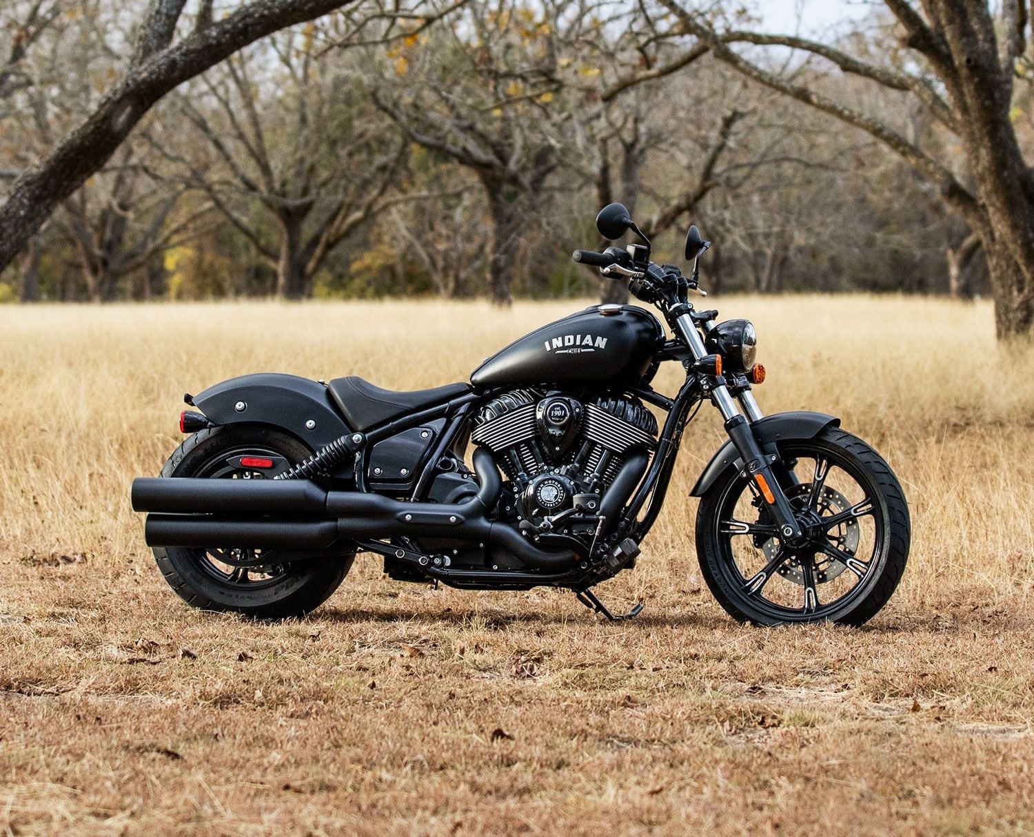 The Chief Dark Horse is the more premium model adding the more powerful Thunder Stroke 116 engine, ABS, and Ride Command. This is the Black Smoke color.