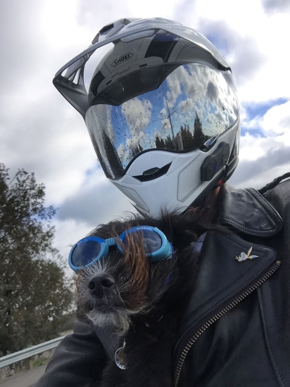 Motorcycle goggles for small dogs new arrivals