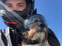 Dog bike goggles deals