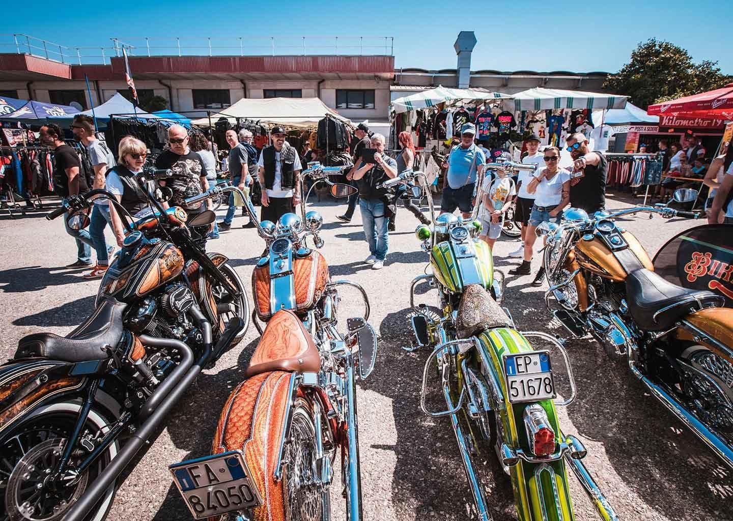 A whole herd of viclas to ogle at this year's Biker Fest International.