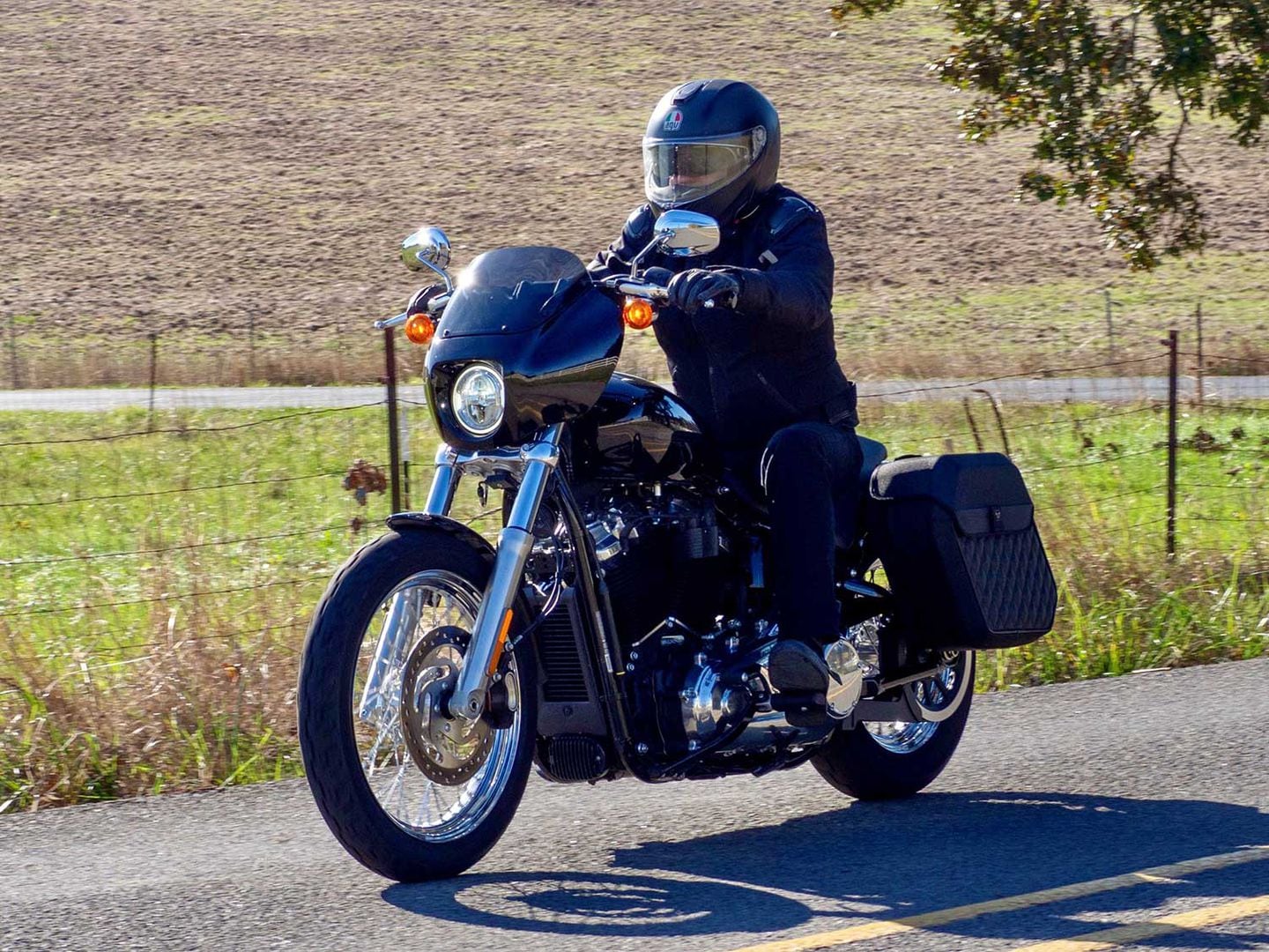 2020 softail standard fairing