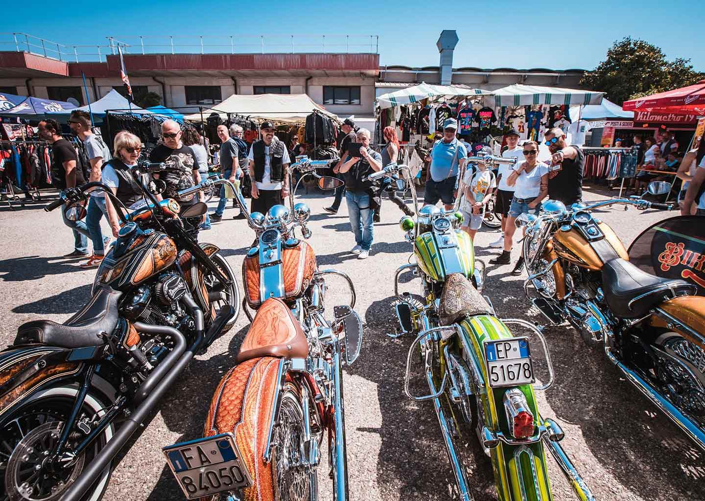 A whole herd of viclas to ogle at this year's Biker Fest International.