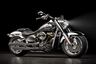 2025 Harley-Davidson Fat Boy Gray Ghost studio